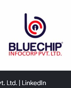 Blue Chip Incorporation logo